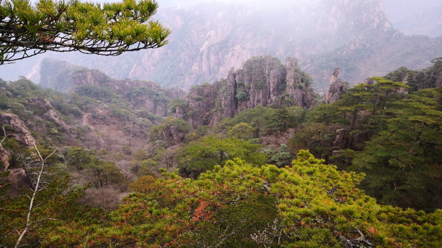 Mountain scenery at Mt Huang